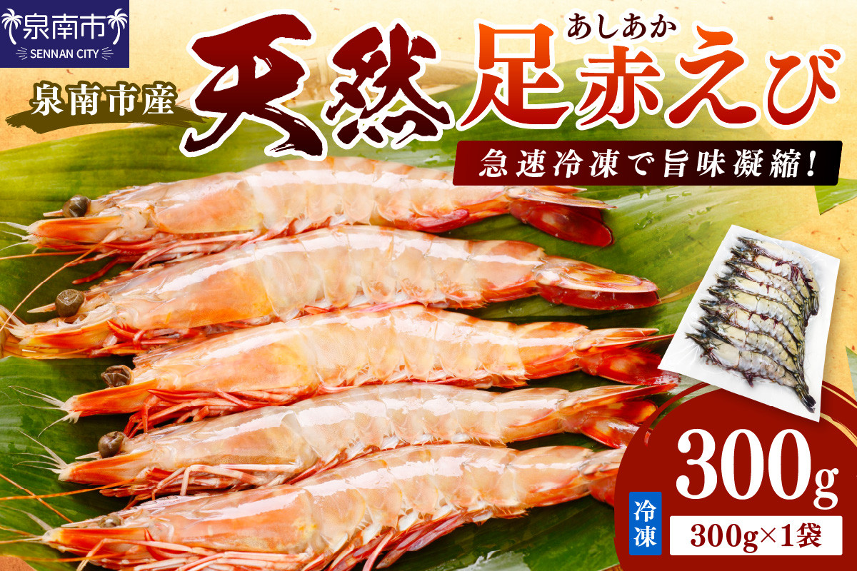 
            大阪府泉南市産 天然足赤エビ 300g【058D-008】
          