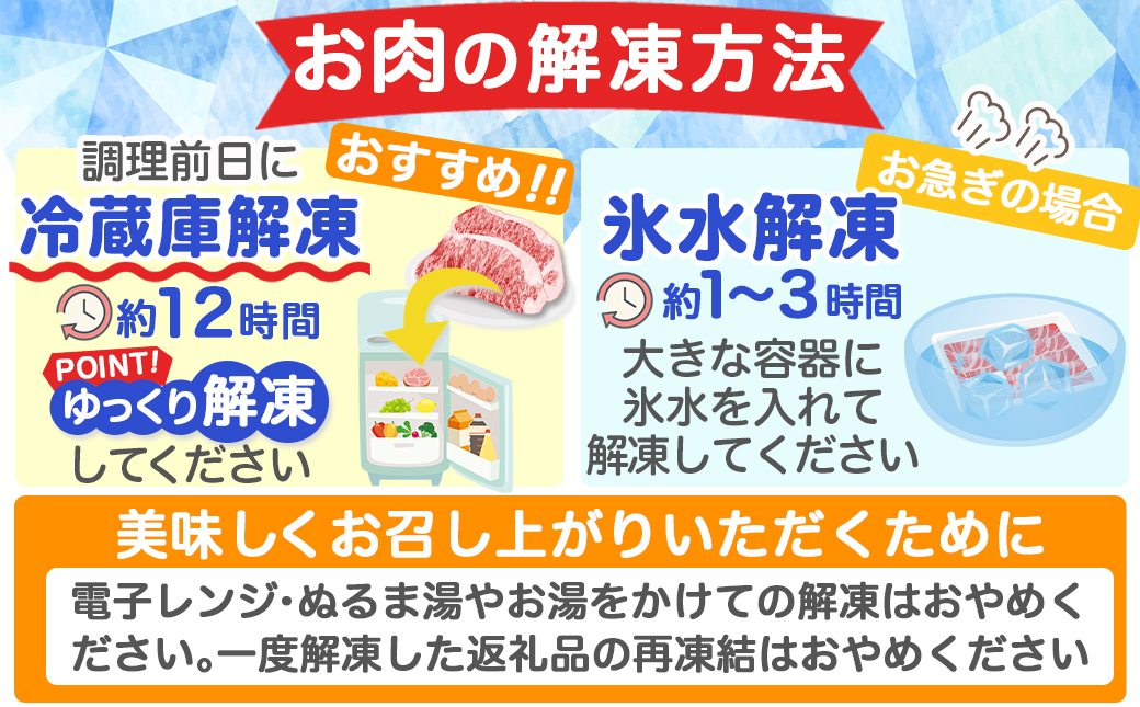 ≪8回連続お届け≫宮崎牛赤身霜降り食べ比べ定期便L(総重量16kg)〔T256-8-N201〕