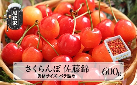 先行予約 2026年産 さくらんぼ 佐藤錦 秀Mサイズ 600g 1箱 バラ詰め 令和8年産 山形県産 ns-snsmb600