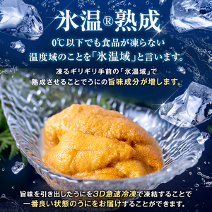 冷凍生うに 氷温(R)熟成 生うに 100g×2 合計200g 宮城県産 岩手県産 生ウニ 生雲丹 うに ウニ 雲丹 新鮮うに キタムラサキウニ きたむらさきうに うに丼 ウニ丼 雲丹 冷凍うに 冷凍