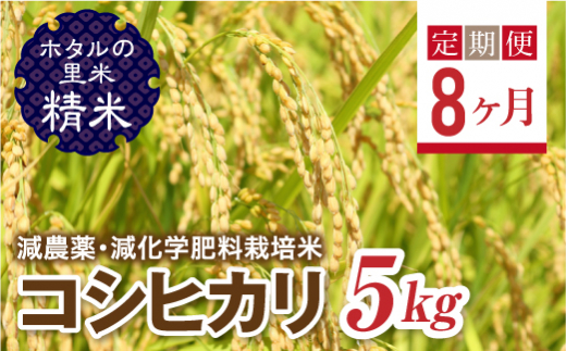 ＜定期便8ヶ月＞ 令和8年産米【ホタルの里米】環境に配慮し農薬を減らした栽培米 コシヒカリ精米5kg  F4D-2274