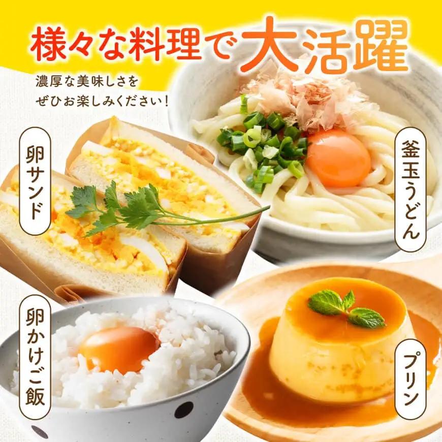 【6ヶ月定期便】宮崎県産鶏卵 「南国からの贈り物」大きな卵40個入り（35個+破損補償5個）【たまご 卵 玉子 タマゴ】