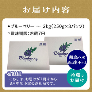 2025年発送 先行予約 木津川市産ブルーベリー2kg 生ブルーベリー 新鮮 ブルーベリー 国産ブルーベリー 果物  小分け ヨーグルト ジャム スムージー 冷蔵お届け 安心国産 摘みたて新鮮 京都府