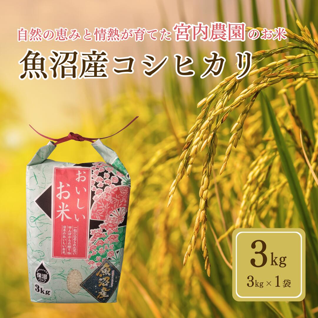 【ふるさと納税】令和7年産 魚沼産コシヒカリ3kg×1袋 精米 宮内農園 | 新潟県産 コシヒカリ お米 米 おこめ こめ コメ こしひかり 白米 魚沼産 ブランド米 人気 おすすめ 産地直送 新潟県 小千谷市【0002-MN01-01】