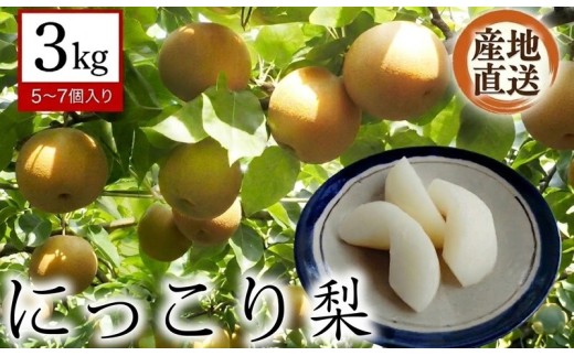 【 産地直送 】 にっこり 3kg 先行予約 梨 なし ナシ