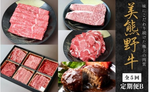 【全5回】美熊野牛 定期便B ＜すき焼きしゃぶしゃぶ用ロース＆赤身モモ肉 800g・切り落とし 800g・焼肉用6種食べ比べ 500ｇ・サーロインステーキ 300g×2枚・100％ハンバーグ 100g×5個＞  牛肉 肉 ブランド牛 和牛 黒毛和牛 国産牛 すき焼き しゃぶしゃぶ 赤身肉 焼肉 ステーキ サーロイン ハンバーグ 惣菜 肉定期便 人気 三重県 熊野市【okad-tkb0024】