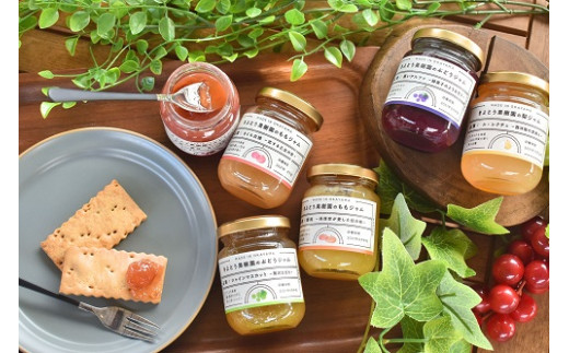 【期間限定】果樹園のジャム5種とパウンドケーキセット (岡山県産)【KF-K006-01】