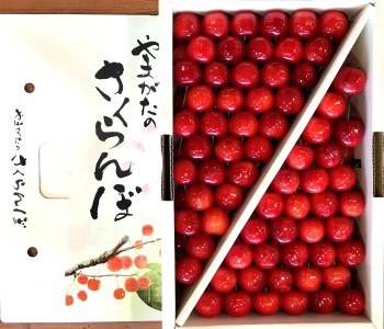 【2024年6月発送分先行受付】「秀品」さくらんぼ佐藤錦1kg（2L玉・化粧箱・手詰）_H040(R6)