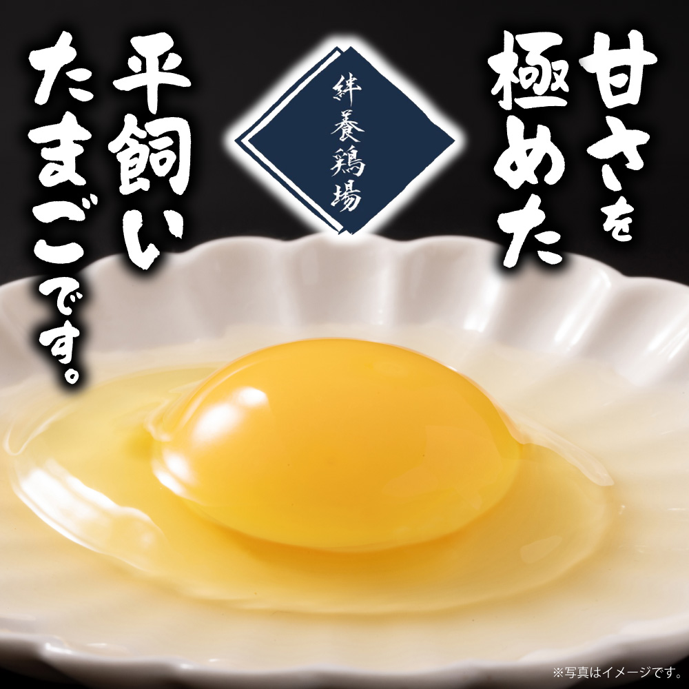 黄金卵 30個入_tb62-002