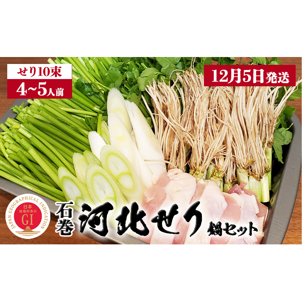 【12月5日発送】せり鍋 セット 4-5人前 せり 長ねぎ パックご飯 スープ 鶏肉 セリ セリ鍋 河北せり 野菜 鍋