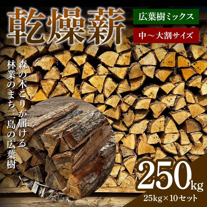 森の木こりが届ける 林業のまち三島の広葉樹「乾燥薪」250kg 薪ストーブ キャンプ アウトドア 焚火 焚き火 暖炉  アウトドアグッズ アウトドア用品 FAG-0108