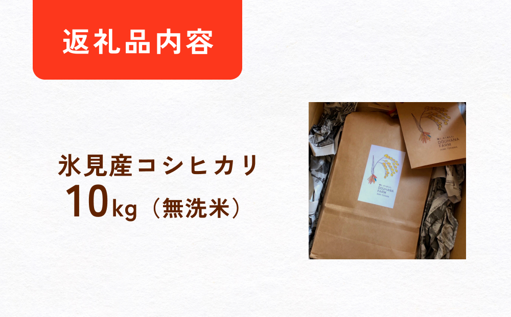 令和8年産 富山県氷見産 コシヒカリ 無洗米 10kg 富山県 氷見市 米 こしひかり
