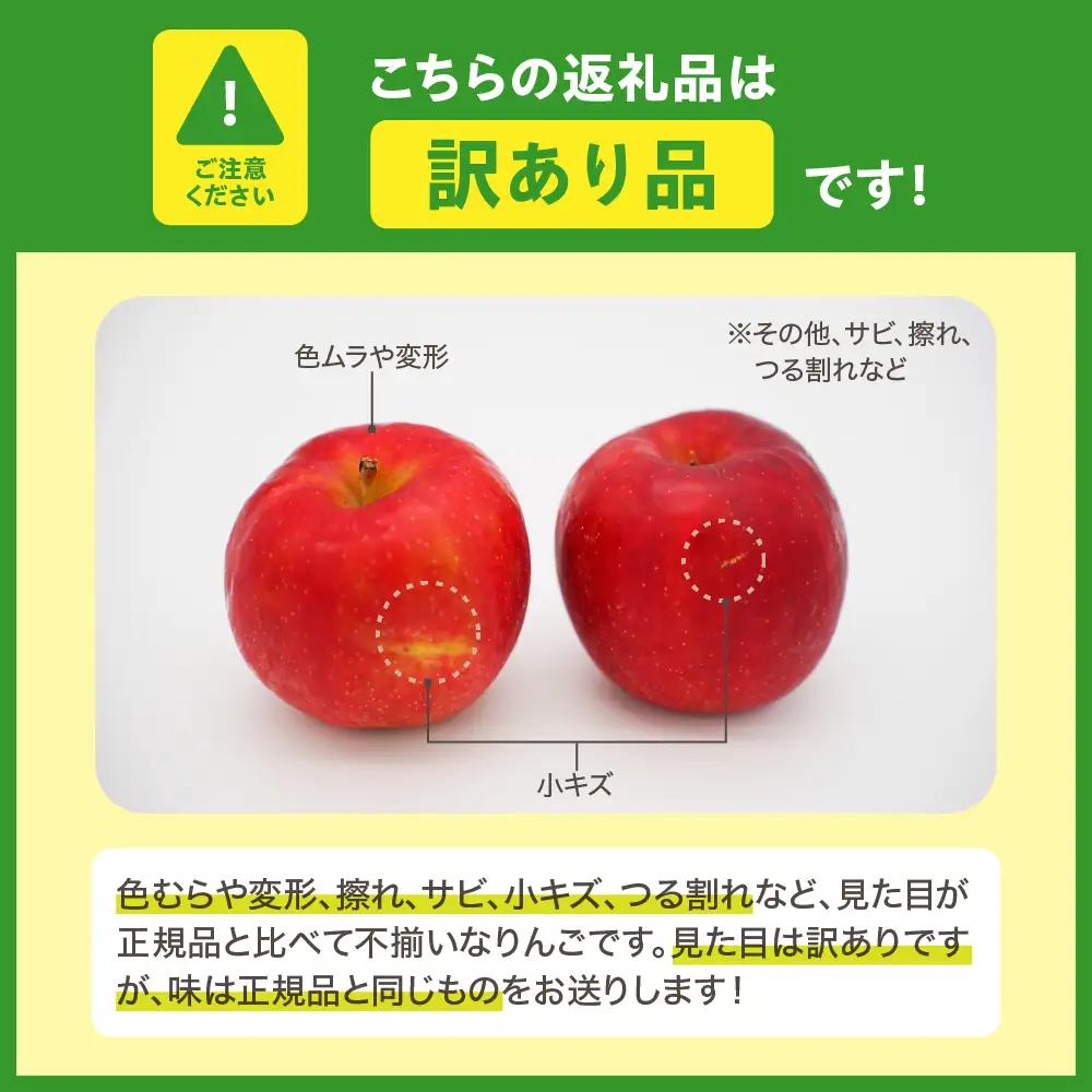 【訳あり】 りんご 約3kg 紅玉 青森県産 りんご