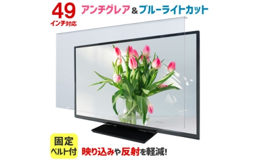 大阪府和泉市　49AG2　49インチ用　テレビ画面保護パネル　アンチグレアタイプ　テレビガード【1669360】