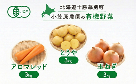 先行予約 有機野菜 3種セット 9kg とうや にんじん 玉ねぎ