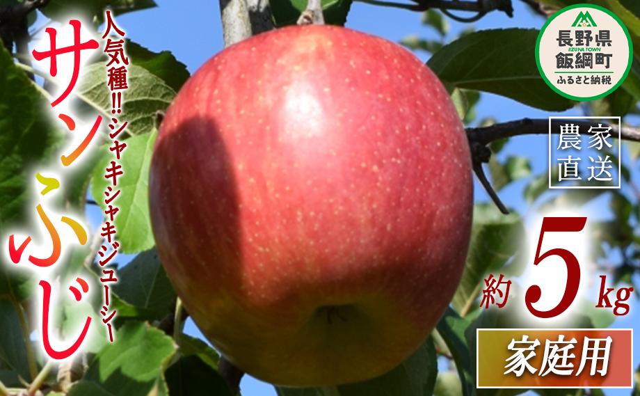 りんご サンふじ 家庭用 5kg 大垣農園 沖縄県への配送不可 2025年11月下旬頃から2025年12月下旬頃まで順次発送予定 令和7年度収穫分 信州 果物 フルーツ リンゴ 林檎 長野 11500円 予約 農家直送 長野県 飯綱町 [1132]