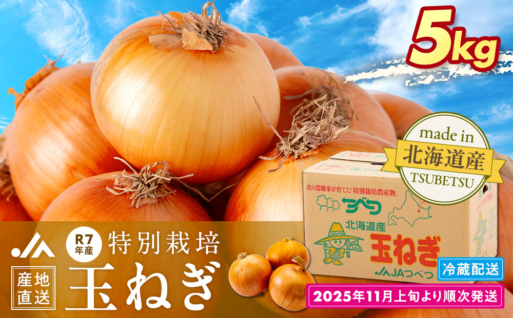 R7年産先行受付 玉ねぎ 5kg 特別栽培 | 玉ねぎ たまねぎ タマネギ 玉葱 大容量 オニオン 甘い 有機栽培 国産 産地直送 カレー ハンバーグ 煮込み 炒め物 北海道 津別町 送料無料