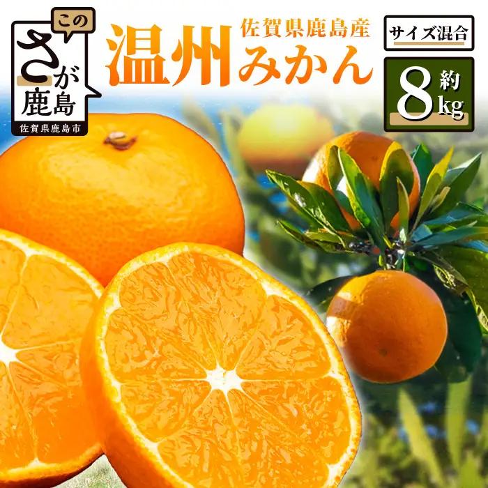 温州みかん 約8kg 佐賀県鹿島産 サイズ混合 | 《先行受付11月上旬より発送予定》みかん ミカン 甘い 小玉含む フルーツ 果物 果実 くだもの 蜜柑 柑橘 国産 冬季 大容量 家庭用 贈答 お取り寄せ 佐賀県 鹿島市 B-804