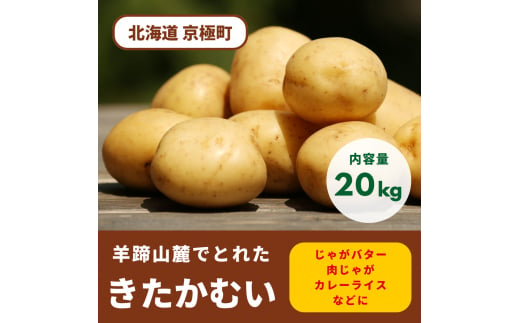 2025年1月発送！ 北海道羊蹄山麓 じゃがいも20kg（きたかむい）［JAようてい］【 野菜 じゃがいも キタカムイ 20kg 料理 】