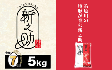 新潟産新之助 5kg《令和7年産》 【しんのすけ 農家直送 糸魚川 令和7年産 2025年産 米どころ新潟 米作りのプロ 地元農家 JA 自信作！ 美味しい 農家自慢 お米 白米 おにぎり お弁当 新潟県の新ブランド米】