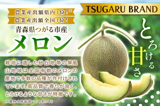 坂本農園のハウスメロン タカミ (約1.6kg×2玉) 糖度15度以上 [0823]