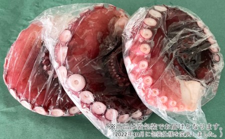 久慈の「蒸しタコ」足のみ1キロ