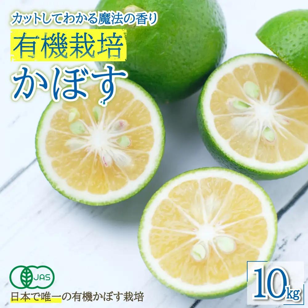 カットしてわかる魔法の香り「有機栽培かぼす」 10㎏箱入り K3-S