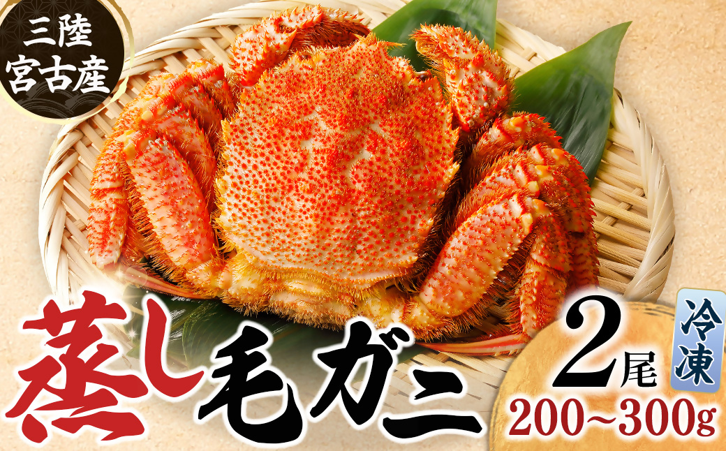 三陸宮古産　蒸し毛ガニ　200g～300g×2杯【配送不可地域：離島】