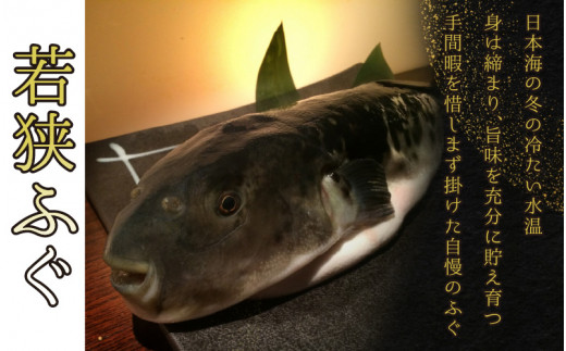 【着日指定】 【冷蔵でお届け】 若狭ふぐ 料理 セット 4人前  【配送不可地域：北海道・沖縄・離島】  [BFAZ007]