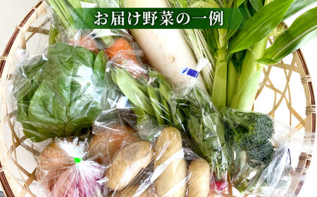 【数量限定】厳選！旬を味わう有機野菜詰め合わせ 2月（10～15種）＆農家さん自家製ゆず果汁 200ml×1本セット　大阪府高槻市/高槻あぐり[AOCS004] [AOCS004]