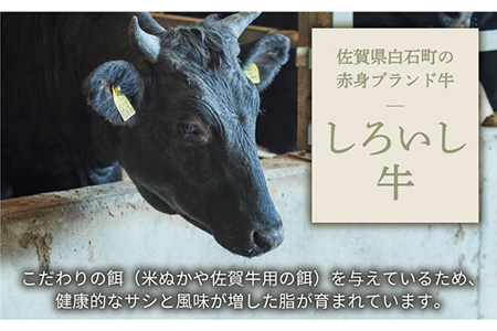 【牧場直送】佐賀県産しろいし牛 ボリュームたっぷり手ごねハンバーグ 120g×5個【有限会社佐賀セントラル牧場】 [IAH016]