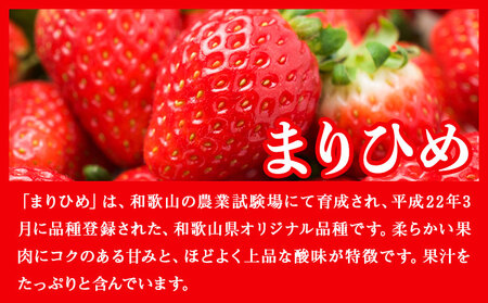 和歌山県産 まりひめ苺 ゆりかーご入り 1パック いちご イチゴ 株式会社ふるーつふぁーむわかやま 《12月下旬-5月中旬頃出荷》 和歌山県 紀の川市