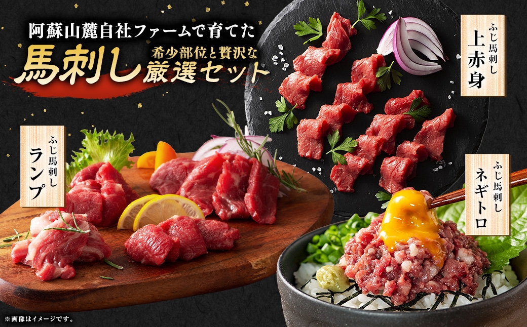 厳選ふじ馬刺し6種セット