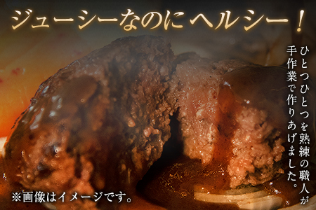 手作りハン馬ーグ 100g×10個 馬肉100%配合！【熊本肥育】ハンバーグ たっぷり 冷凍 お中元 肉 お手軽 お取り寄せ《30日以内に出荷予定(土日祝除く)》｜人気ハンバーグ 大人気返礼品 ブラン