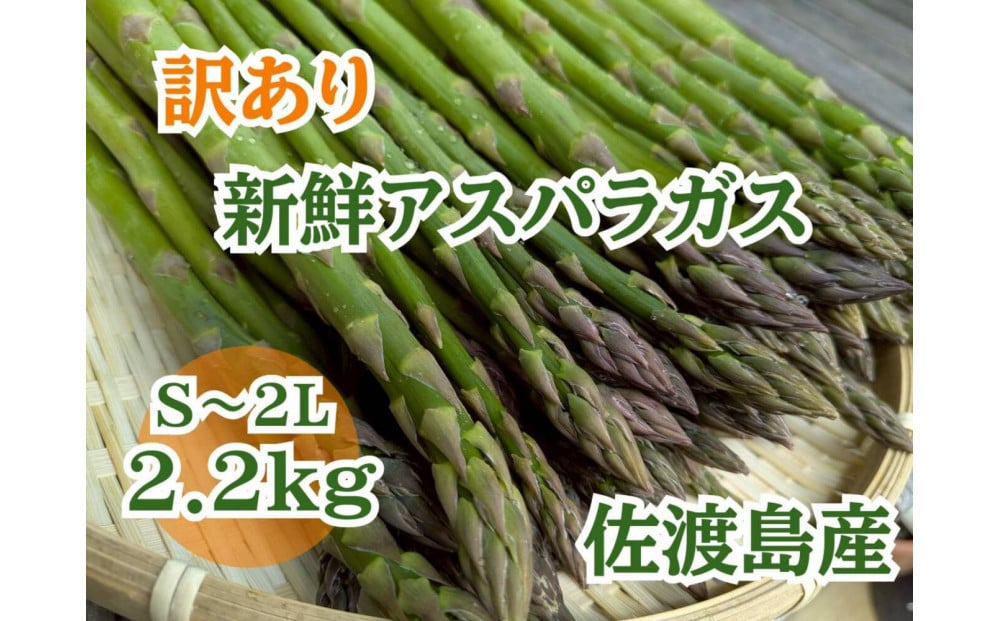 
            【訳あり】アスパラガス2.2kg　佐渡島産
          