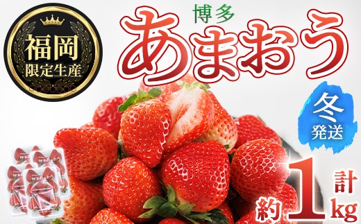
                  ＜先行予約受付中！2026年12月上旬以降に順次発送予定＞博多あまおう・冬 (計約1kg) いちご 苺 フルーツ 果物 くだもの 福岡限定 家庭用 冷蔵＜離島配送不可＞【ksg1737】【農産物直売所ほたるの里】
                