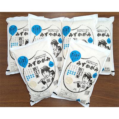 ふるさと納税 近江八幡市 【2ヵ月毎定期便】みずかがみ　白米　5kg　【環境こだわり農産物認定の近江米】全6回 |  | 01
