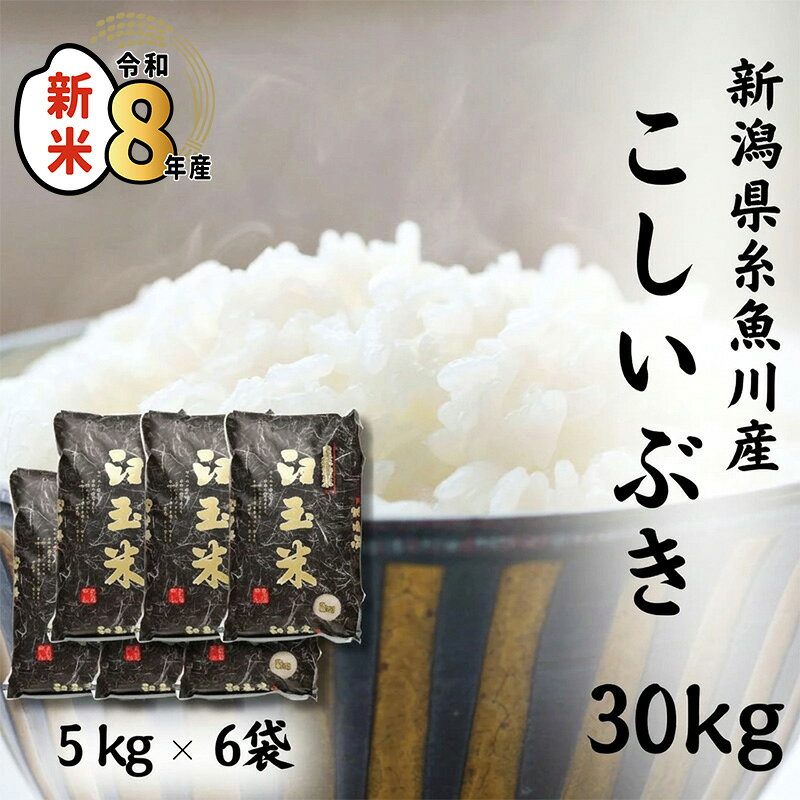 【ふるさと納税】臼玉米こしいぶき 30kg (5kg×6袋) 《令和8年産新米》【10月以降順次発送】新潟県 糸魚川産 プロが認めたうまい米 新潟米 農家自慢 コシヒカリの甘みを兼ね備えた早生品種 お手頃価格 精米 コシイブキ 白米30kg おすすめ 人気 木島米穀店