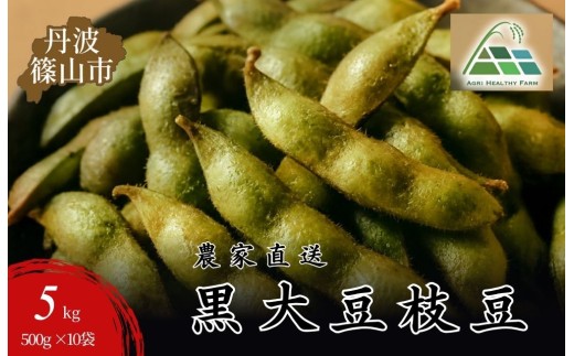 【2026年産 2026年10月中旬以降順次発送】丹波篠山産 黒大豆枝豆 500g×10袋 5kg 兵庫県 丹波篠山市 プレミアム枝豆 期間限定 黒枝豆 えだまめ エダマメ お取り寄せグルメ 高級 特産品 名産品 おつまみ おうち居酒屋