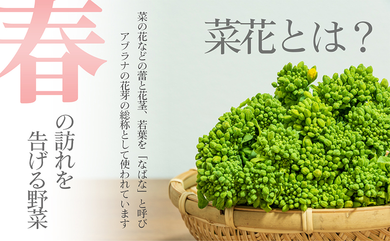 冬から春が旬の「菜花(菜の花)」600g
