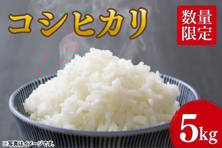
            【2026年1月下旬頃～2月下旬発送】【令和7年産 新米】コシヒカリ5kg「茨城県産 茨城県産米」【米 おこめ こしひかり 農家直送 直送 茨城県 阿見町】（68-01）
          