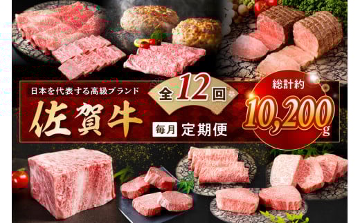 【発送月固定 定期便】肉のプレミアム定期便! 毎月 佐賀牛 をお届け!全12回 J1173