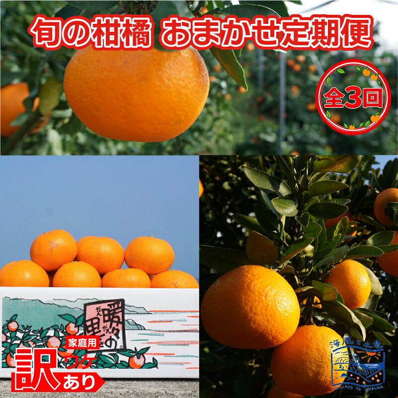 【ふるさと納税】 【2026年12月頃から順次発送】訳あり 旬の柑橘 家庭用 おまかせ 3回 定期便 あいか28号 いよかん せとか ｜産地直送 国産 柑橘 期間限定 数量限定 ご当地 愛果28号 伊予柑 せとか 愛媛県 松山市