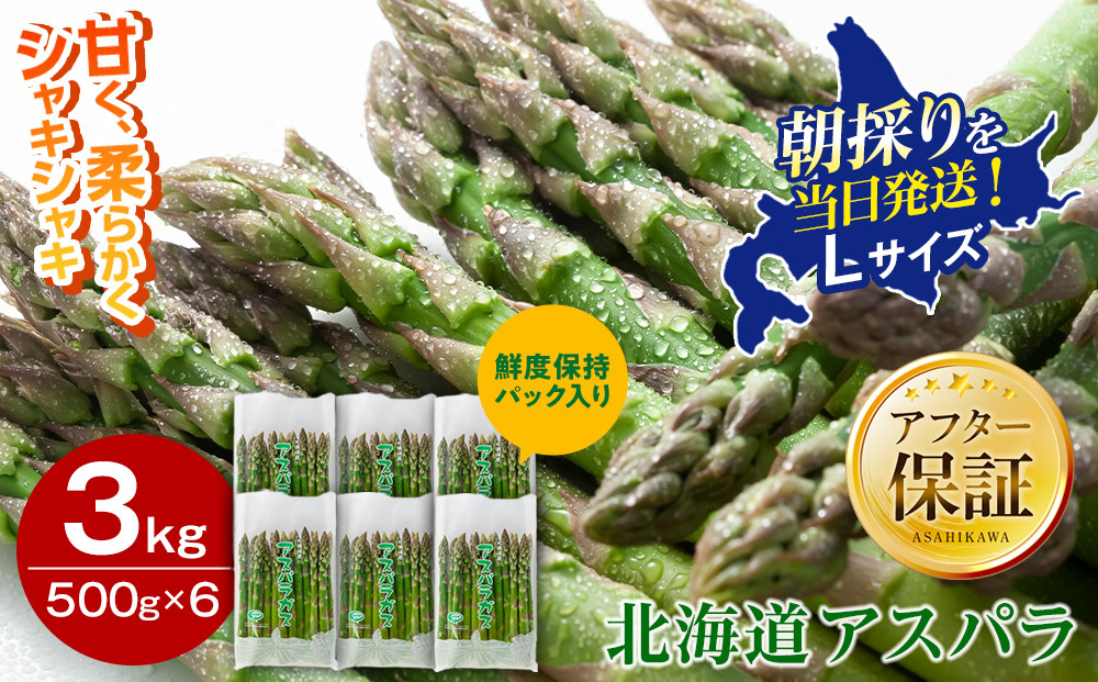 【2027年先行予約】朝採りアスパラ Lサイズ 3kg（500g×6）鮮度保持パック入り 旭川近郊産 露地物（5月中旬発送開始予定）【 アスパラ アスパラガス 朝採り とれたて 野菜 旬 小分け 保存 産直 産地直送 お取り寄せ 旭川市 北海道 】_01592