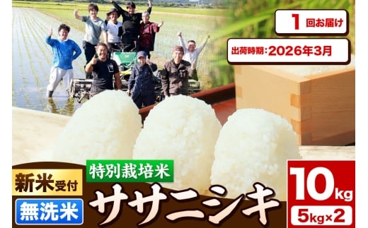《新米受付》令和7年産【無洗米】特別栽培米 ササニシキ 10kg（5kg×2袋）秋田県産【2026年3月出荷】
