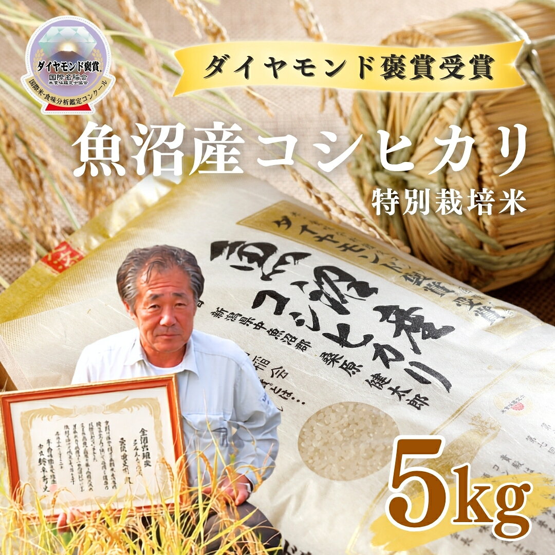【ふるさと納税】【令和8年産先行予約】米 5kg 最高級 魚沼産 コシヒカリ 特別栽培米 ダイヤモンド褒賞受賞 選べる配送回数 | こしひかり お米 おこめ こめ コメ 白米 精米 ご飯 ごはん おすすめ 人気 新潟県 津南町