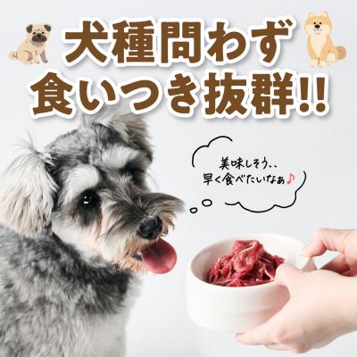 ふるさと納税 八代市 ペット用 馬肉切り落とし1kg 馬肉 ペットフード_212-6544 |  | 02