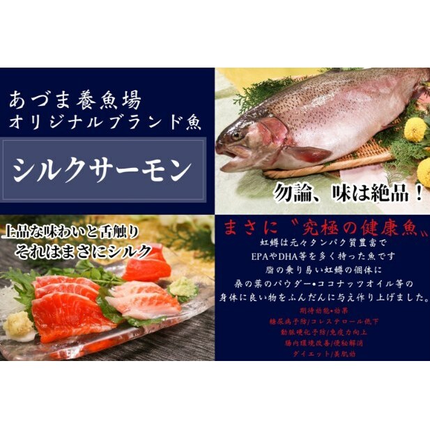 【ふるさと納税】シルクサーモン漬けセット(GUNMA) 魚貝類 鱒 ます