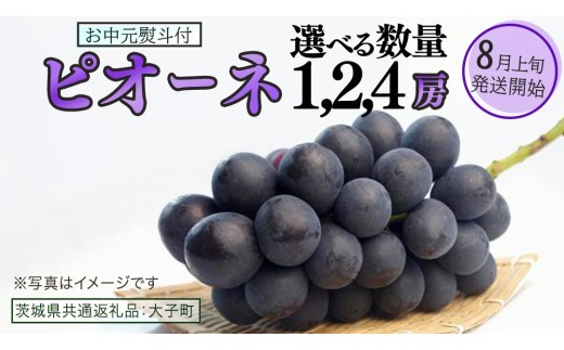 
                  【 選べる 房数 】【 お中元 熨斗付き 】 ピオーネ １房 ２房 ４房 【2026年8月上旬発送開始】(茨城県共通返礼品：大子町) ブドウ ぶどう 葡萄 ピオーネ 果物 フルーツ 果実
                