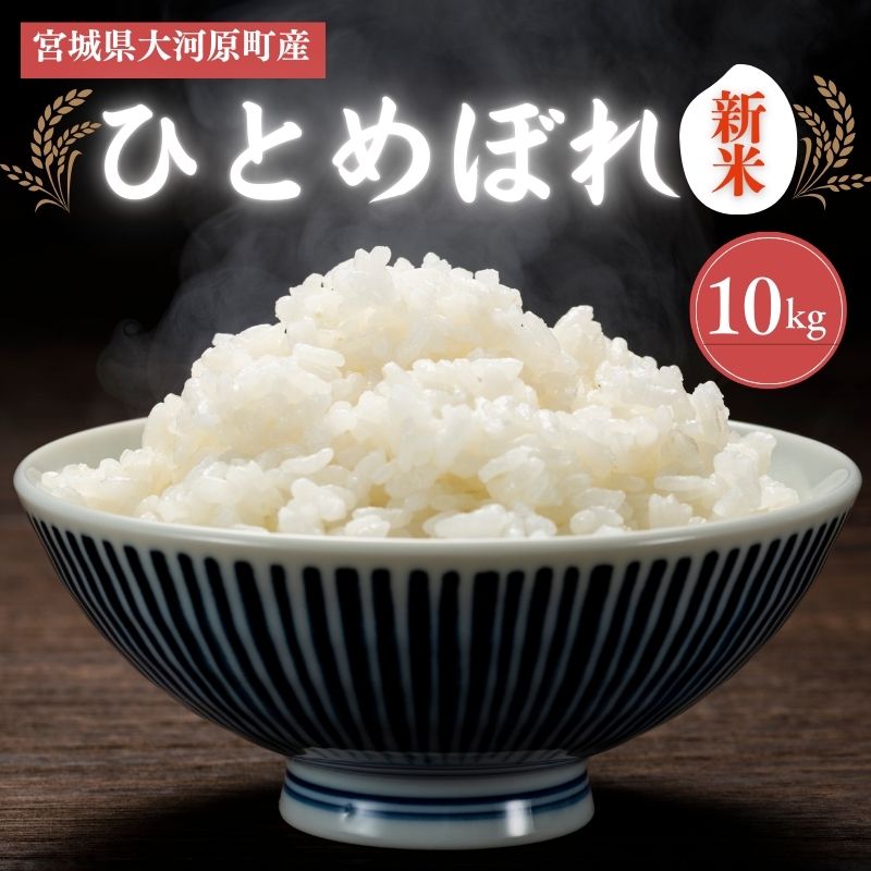 【ふるさと納税】令和7年産 5kg～10kg 内容量を選べる ひとめぼれ 新米 宮城県大河原町産 米 お米 精米 白米 こめ コメ 令和7年 宮城県産